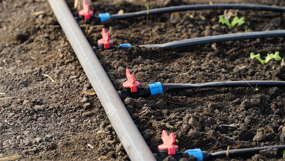 drip irrigation system