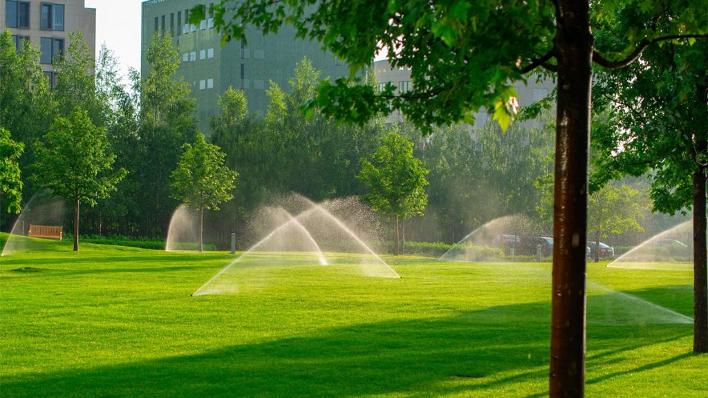 Effective Lawn Irrigation Strategies to Save Water