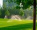 Effective Lawn Irrigation Strategies to Save Water