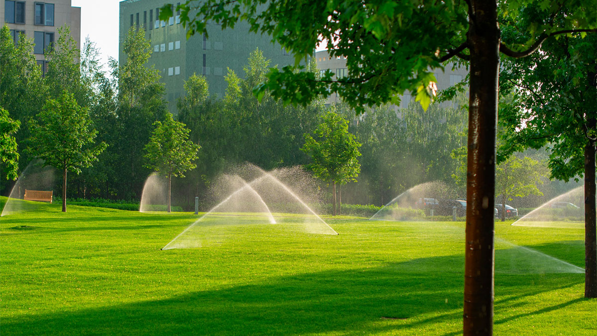 Effective Lawn Irrigation Strategies to Save Water