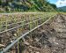 How Drip Irrigation Gives You Back Your Time In Summer
