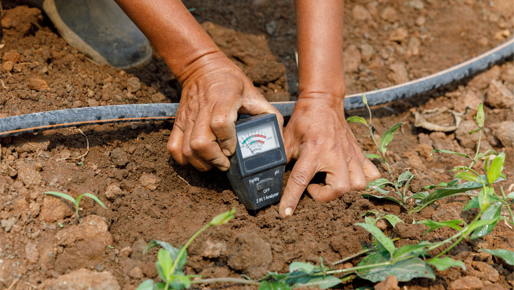 irrigation timer