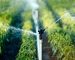 3 Practical Strategies for a Water-Efficient Landscape