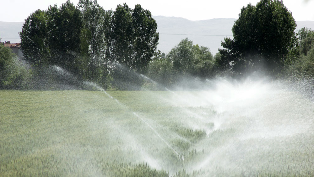 Cycle and Soak Irrigation for a Healthier Lawn
