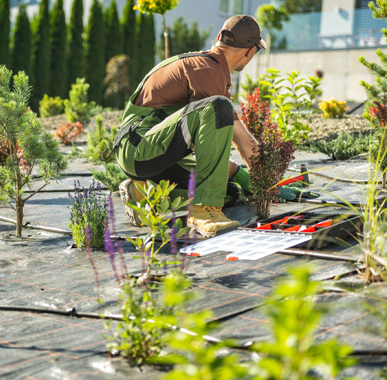 garden drip irrigation