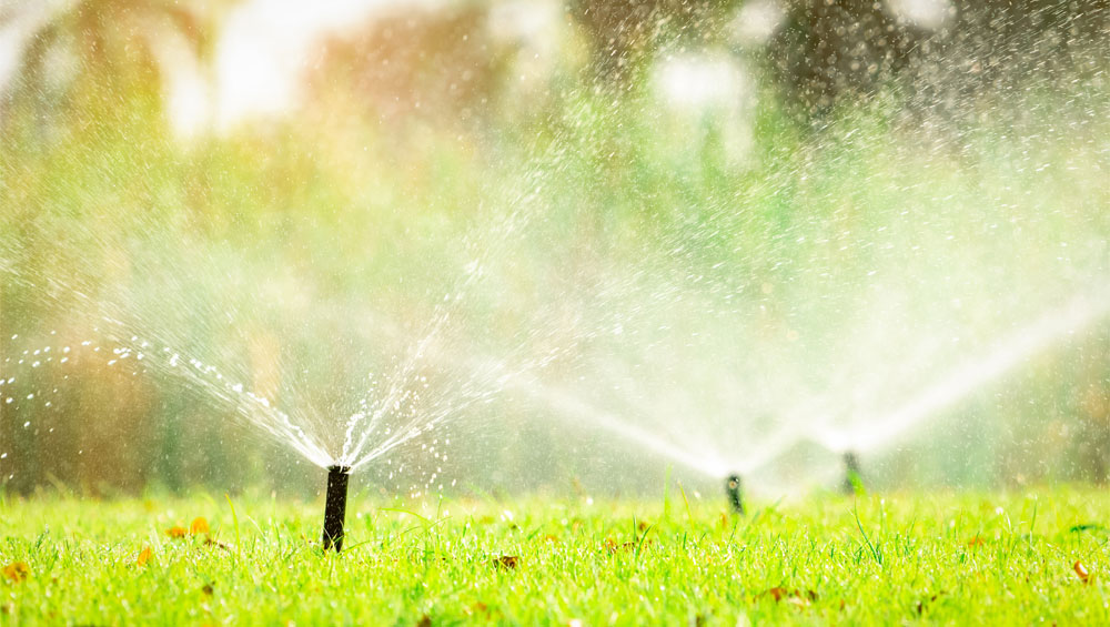 irrigation services
