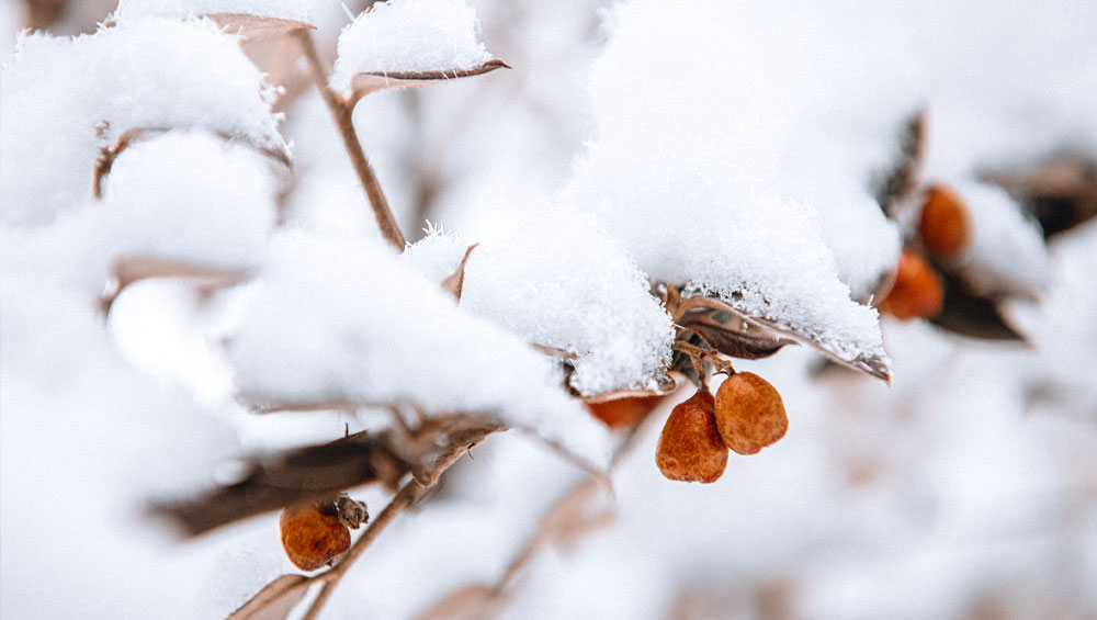 Winterizing